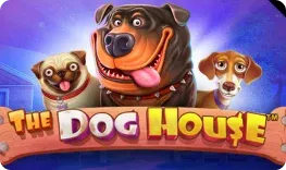 Twindor – The Dog House